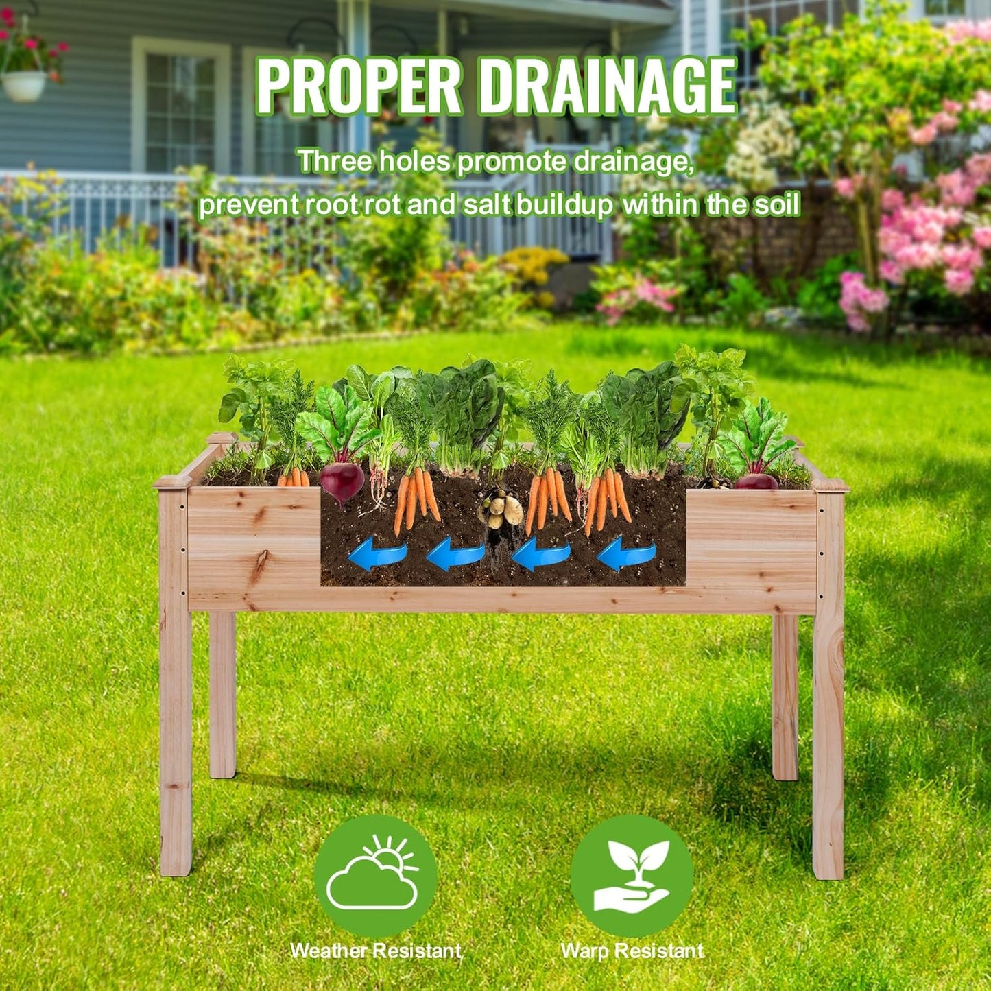 Backyard Expressions Wooden Raised Garden Bed | 48" x 24" x 30" Elevated Planter Box with Included Bed Liner | Outdoor Vegetable, Flower, and Herb Gardening